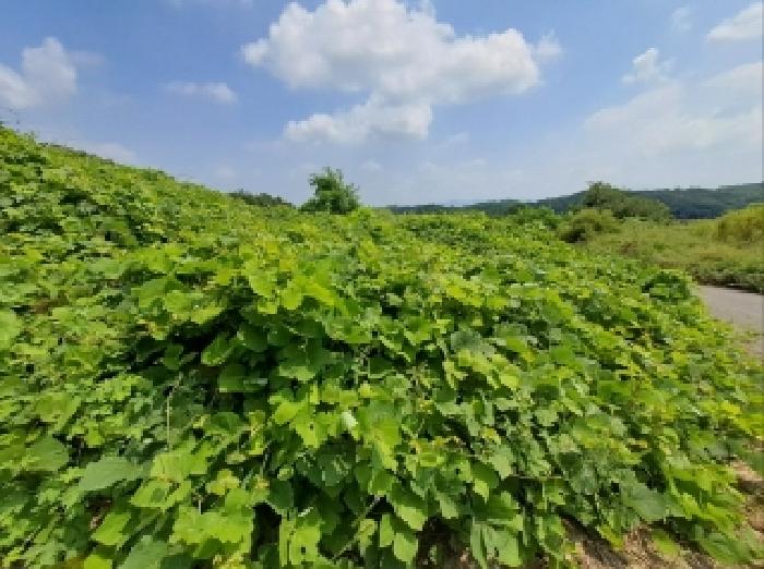 목록 19, 46 전경