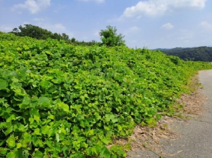 목록 19, 46 남쪽 경계부분