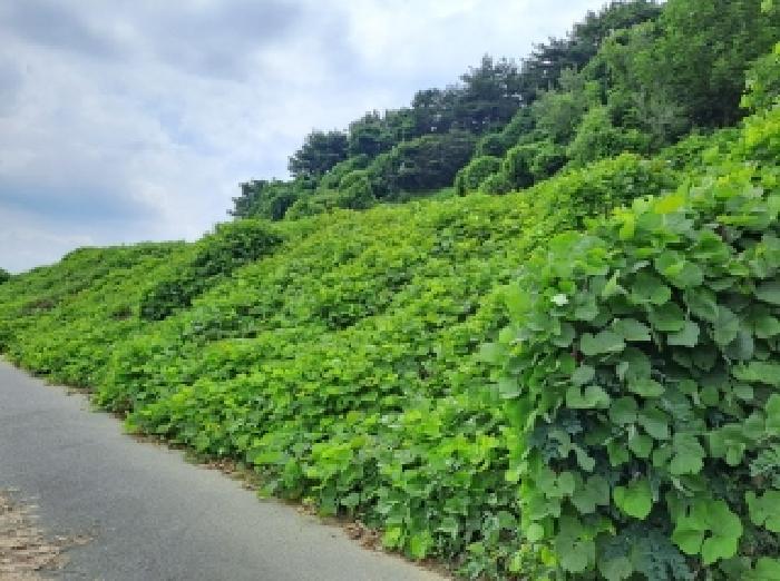 목록 23, 36 북쪽 경계부분