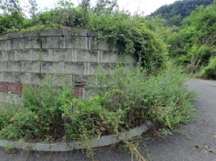 목록 39 북쪽 경계부분
