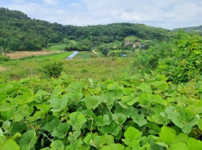 목록 10, 29 전경