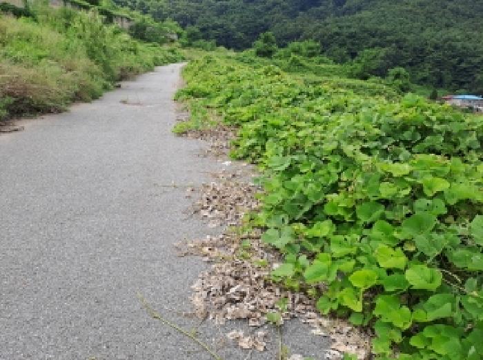 목록 10, 29 남쪽 경계부분