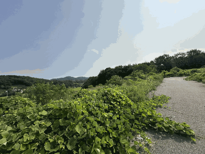 기호10,28,11,27토지