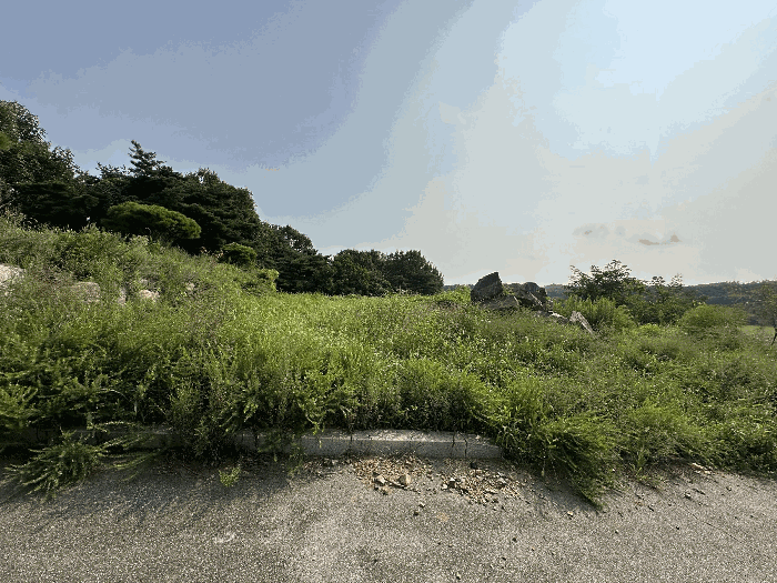 기호14,49토지