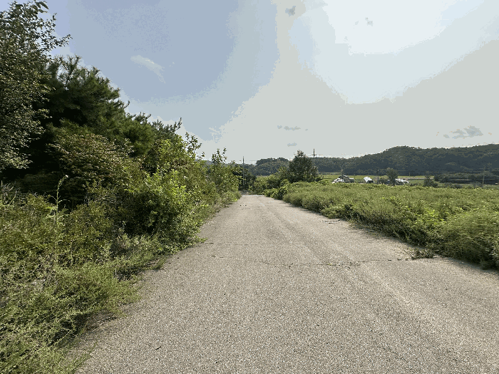 기호26토지 (초입부분)