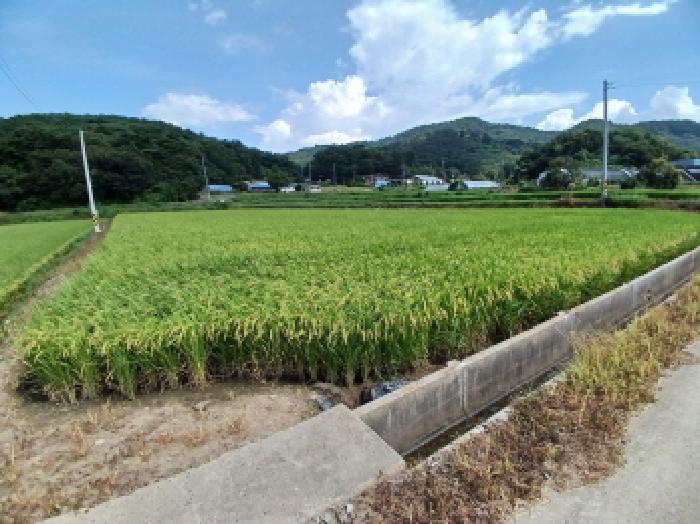 목록6