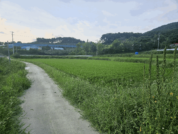 기호(2)토지 (남동측 촬영)