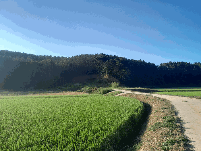 본건 전경 (원거리 촬영)