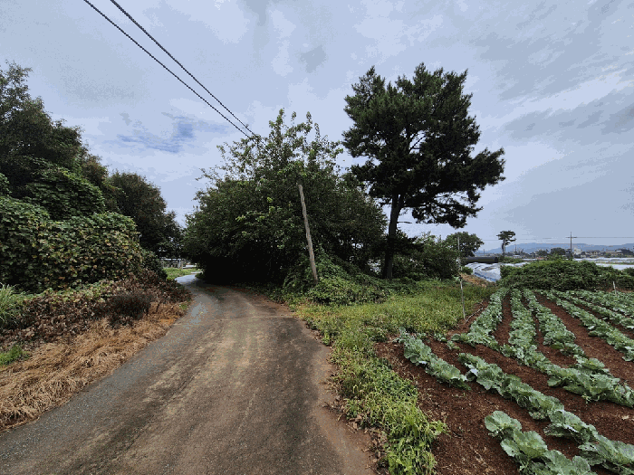 본건 전경
