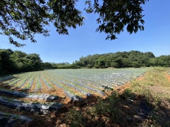 목록 1 내지 14 전경(목록 11 북쪽에서 바라 본 모습)