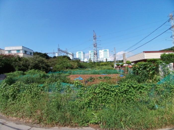 전경