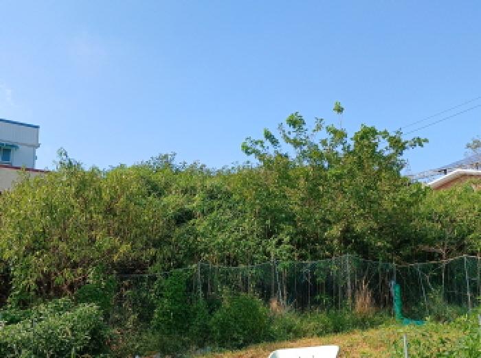 목록1(북쪽 부분)