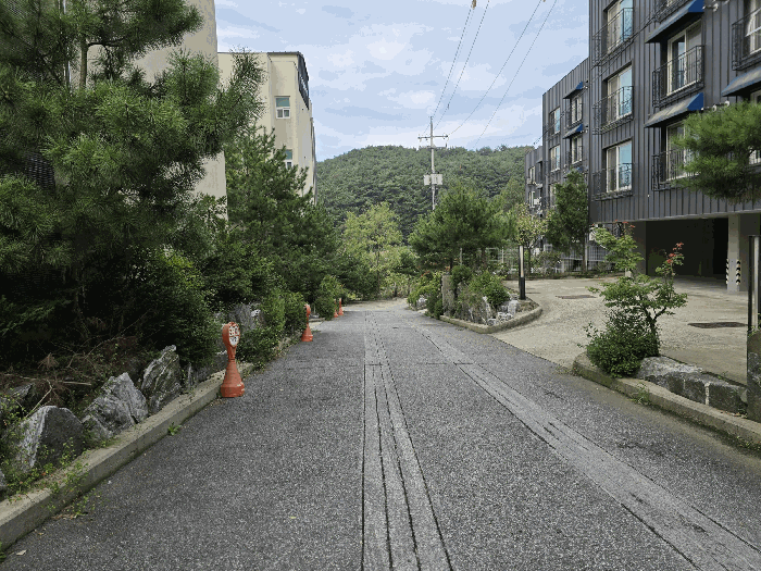 북서측 도로
