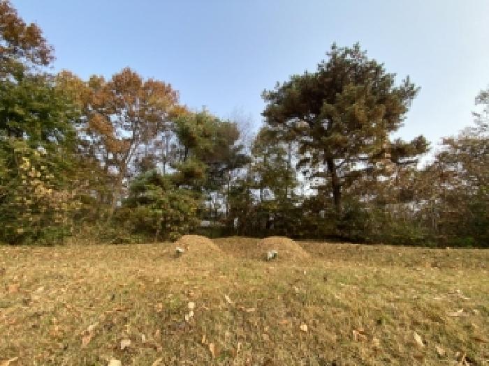 목록 1 북쪽 상단 분묘 2기