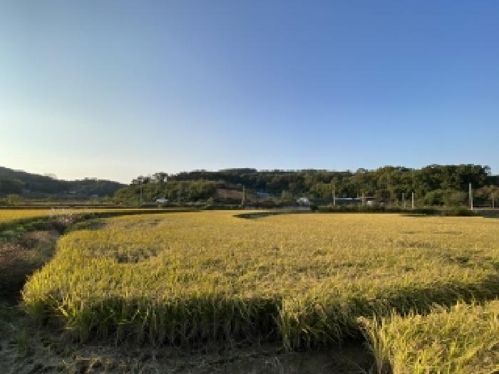 목록 1 남쪽에서 바라 본 모습