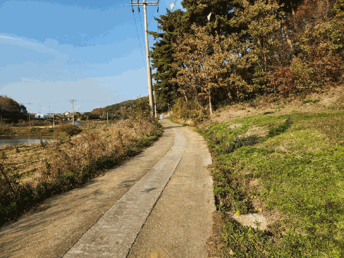 기호(2) 동측 도로 부분 전경