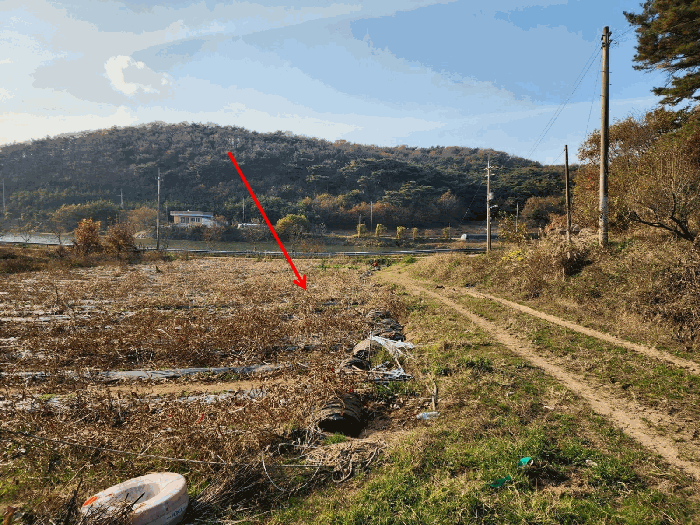 기호(2) 남동측 부분 전경