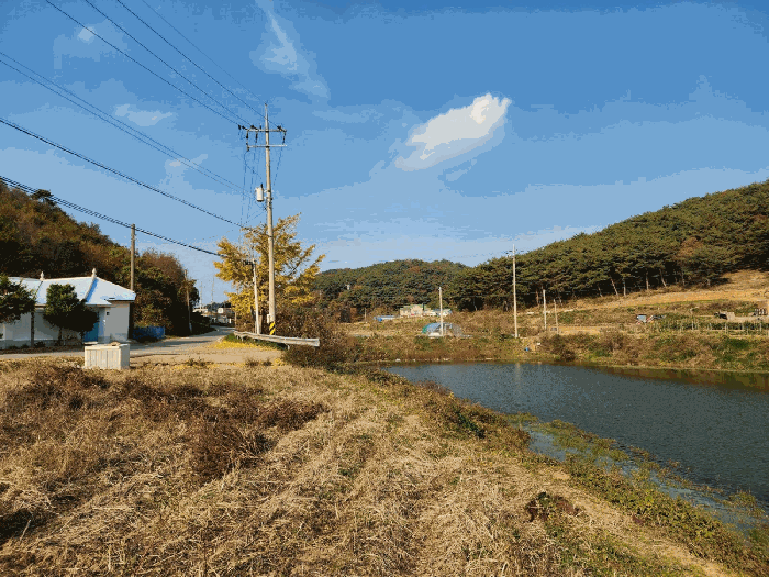 본건 북측 주변 전경