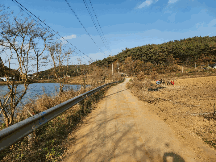 기호(1) 서측 도로 및 주변 전경