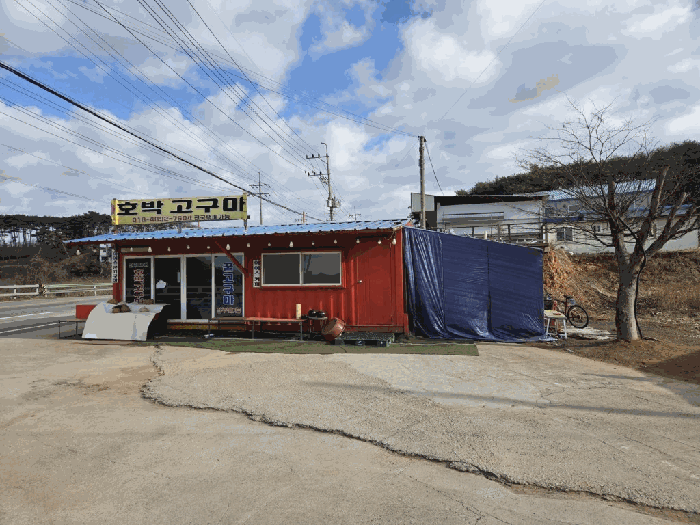 제시외수목㉠ 및 컨테이너, 차양 전경