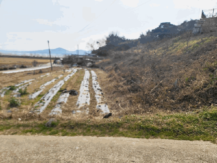 일련번호(1)