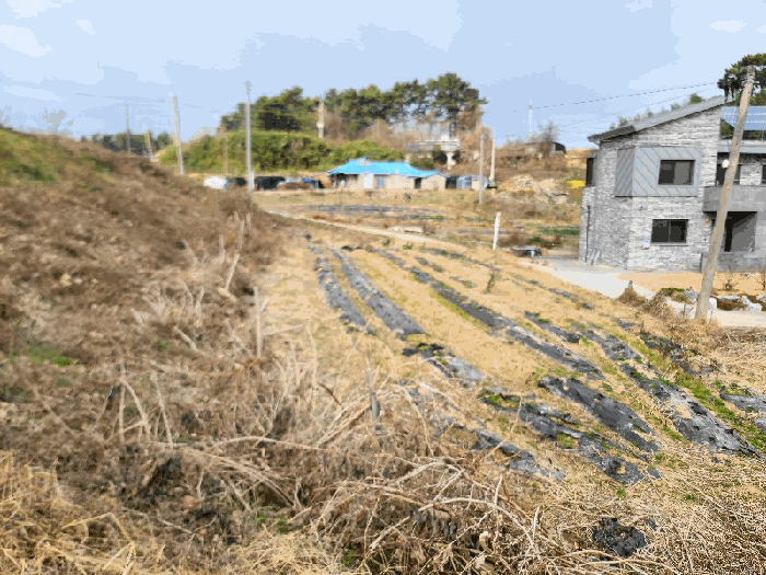 일련번호(1)