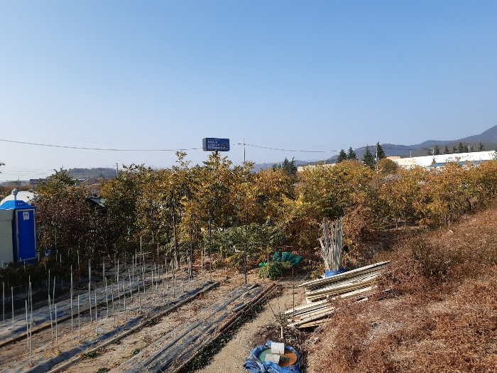본건전경