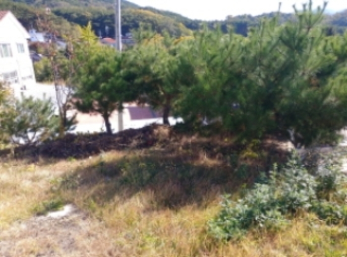 2022타경116771