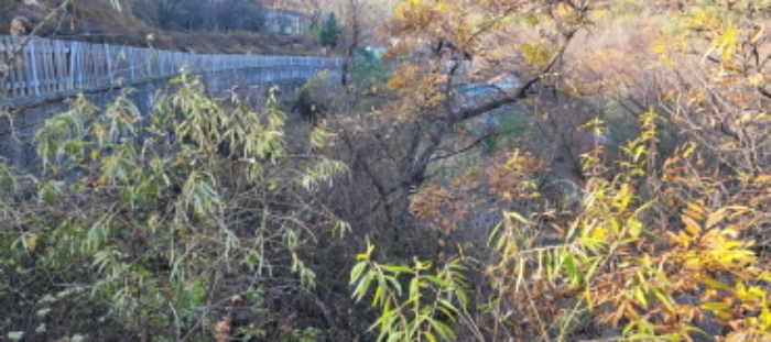 오산리 산44-14 전경 - 임야 임.