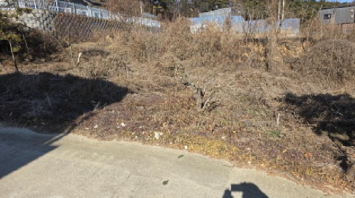 경북 칠곡군 기산면 평복리 405. 전의 전경