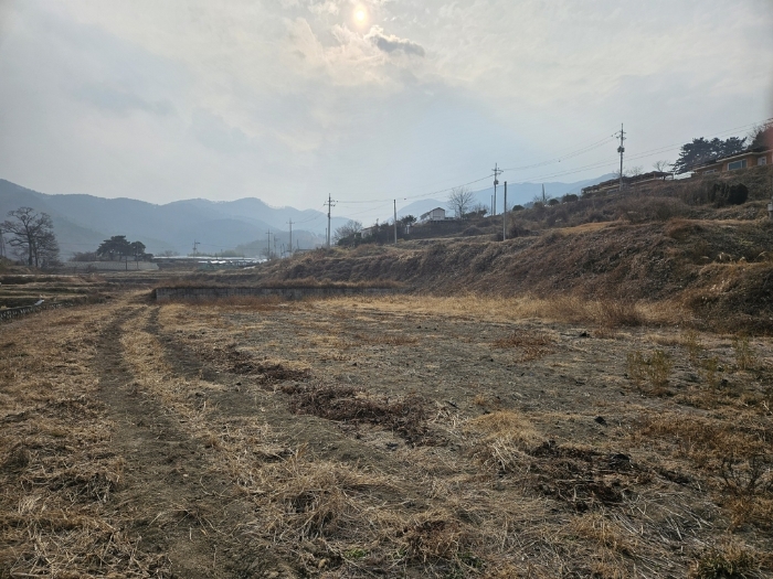 본건 전경