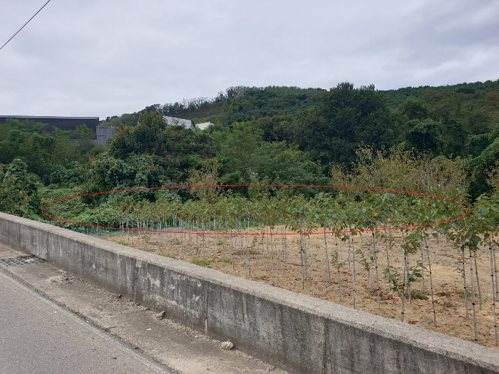 본건 전경