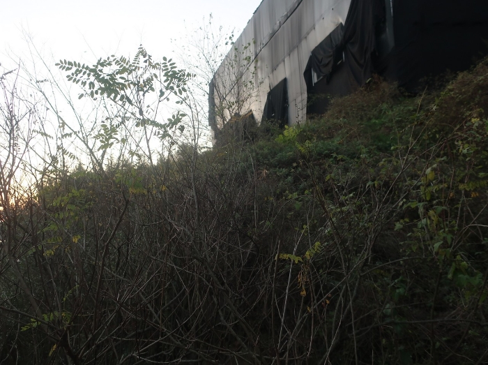 기호(4) 전경
