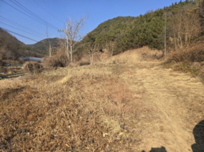 2024타경128372