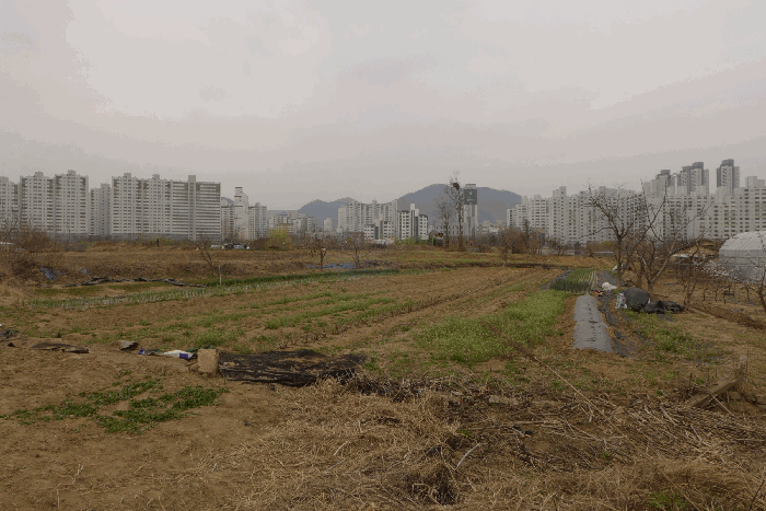 기호(4) 전경
