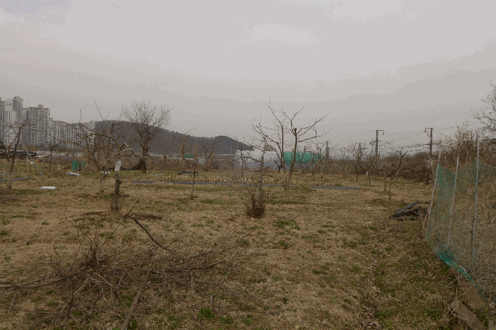 기호(5) 전경