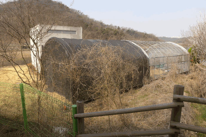 기호(1) 전경