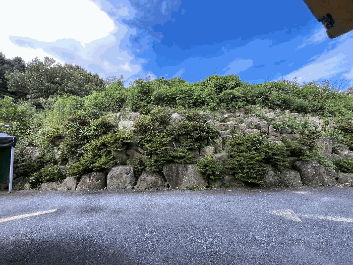 본건 기호 2) 전경