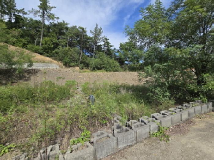 오미동 산117-8