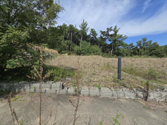 오미동 산117-9