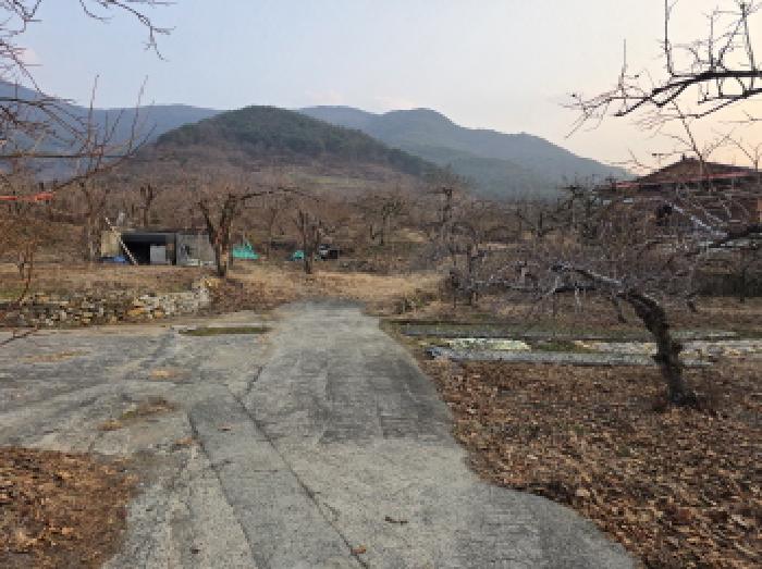 부야리 1231-1 전경
