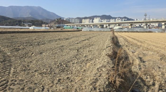 경북 칠곡군 북삼읍 율리 513-8. 답의 전경