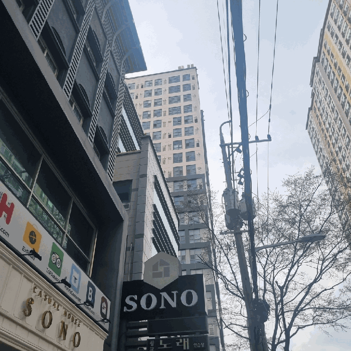 본건주위 전경
