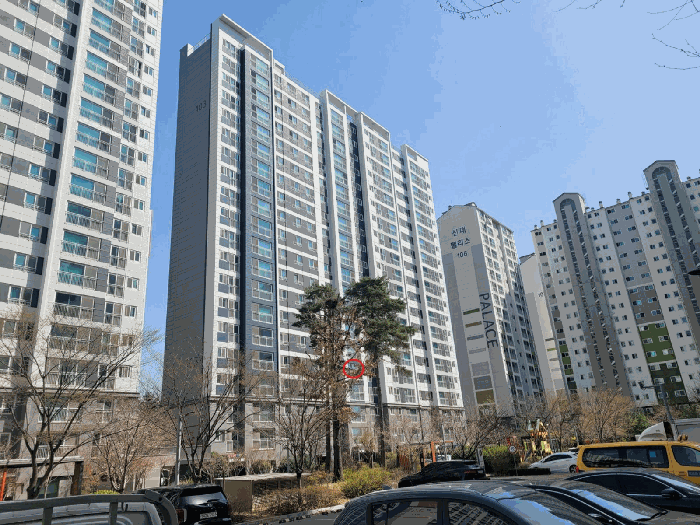 본건 및 건물동 전경
(서측 주변에서 촬영)