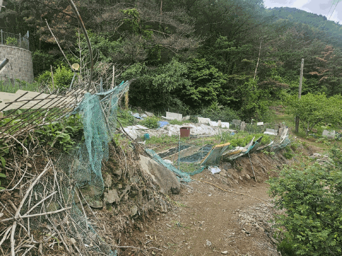 본건 북서측 부분 전경
(동측 비포장농로에서 촬영)