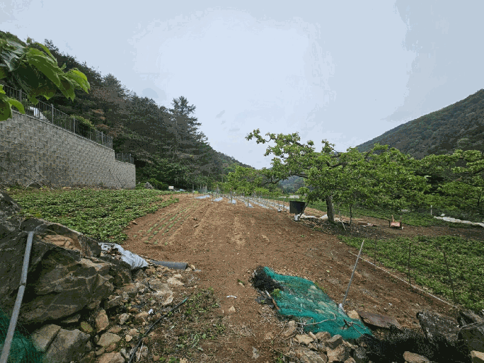 본건 전경
(남동측에서 촬영)