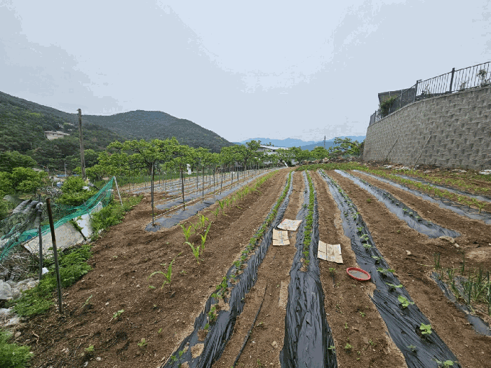 본건 전경
(북서측에서 촬영)