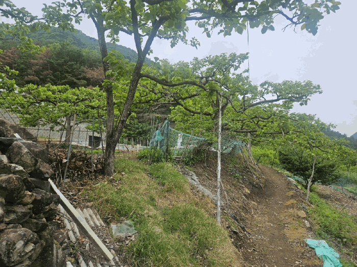 본건 전경
(동측 비포장농로에서 촬영)