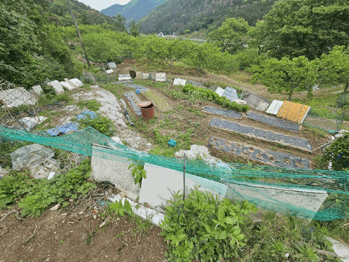 본건 북서측 부분 전경
(남동측에서 촬영)