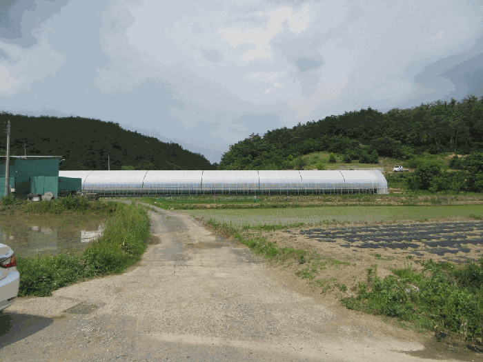 본건 전경
